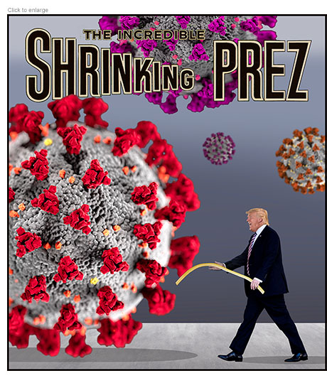 Trump battles coronavirus with a wet noodle in a parody entitled the Incredible Shrinking Prez