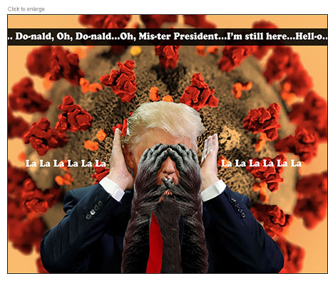 President Trump ignoring the coronavirus by covering eyes, ears and mouth with the help of apes
